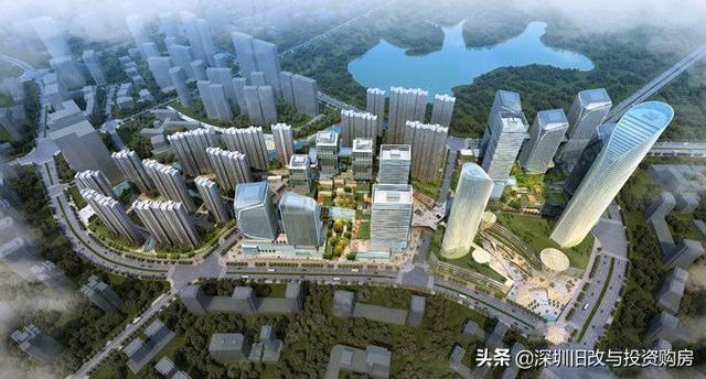 龍崗最新資訊，學(xué)習(xí)變革，自信成就未來之路
