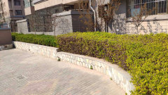 陽光國際城601，家的溫馨與友情深度鏈接的實景圖展示