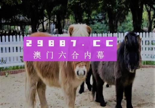 2024澳門買馬最準(zhǔn)網(wǎng)站,高效運行支持_互聯(lián)版23.643