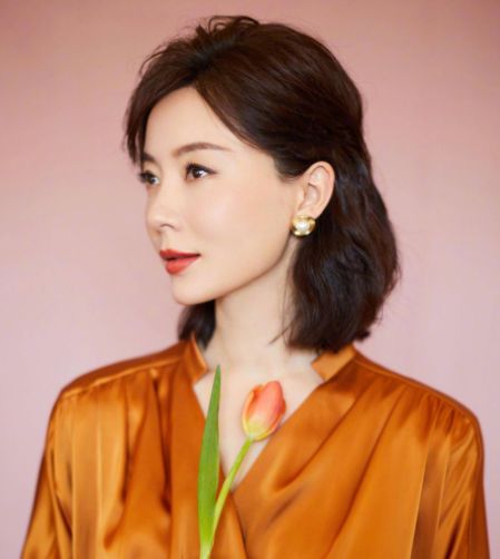 陳數(shù)老公揭秘，深度解析與觀點(diǎn)闡述