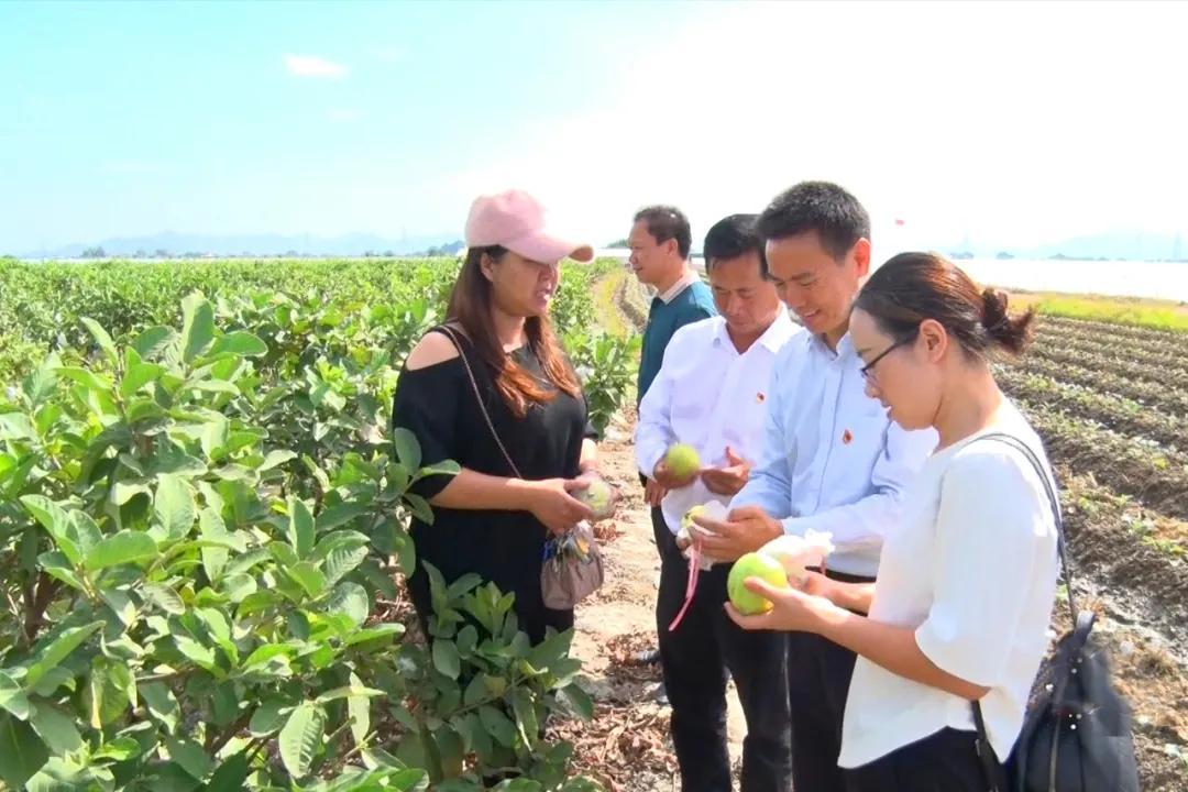 58同城海豐最新職位招聘，與自然美景同行，尋找內(nèi)心的平和寧?kù)o之旅