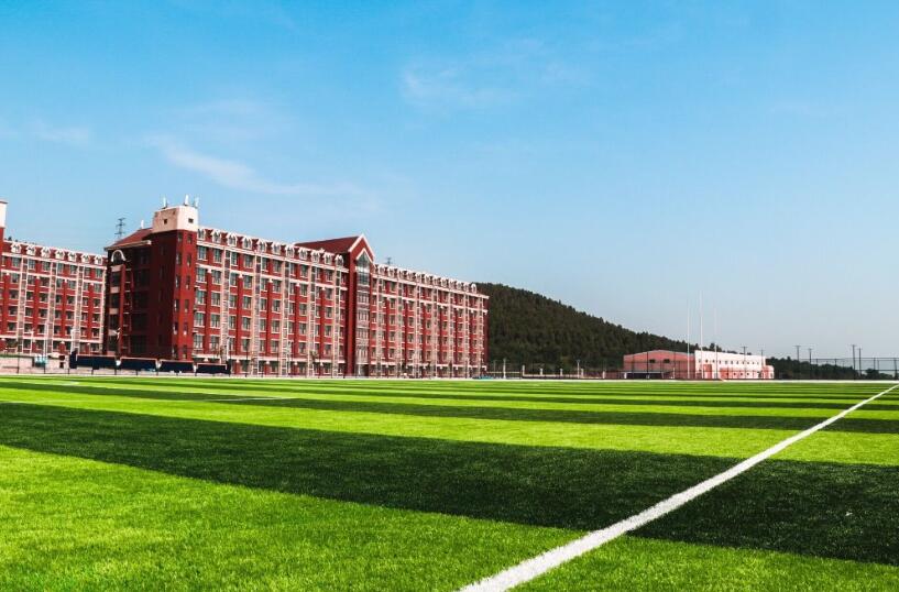 山東大學(xué)動(dòng)漫設(shè)計(jì)專業(yè)，自然美景中的探索之旅