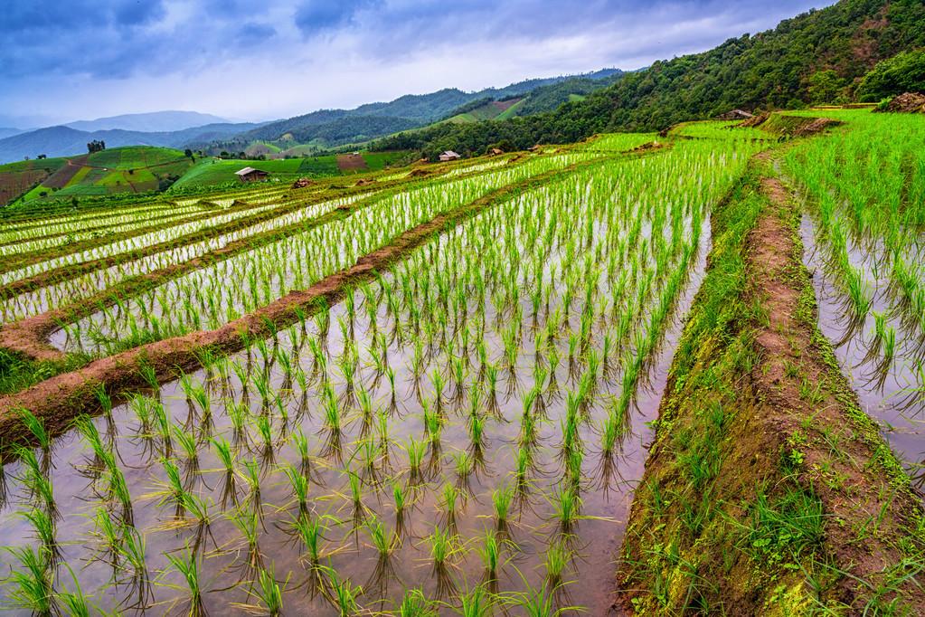 金屬?zèng)_壓模具的加工銷售 第17頁(yè)