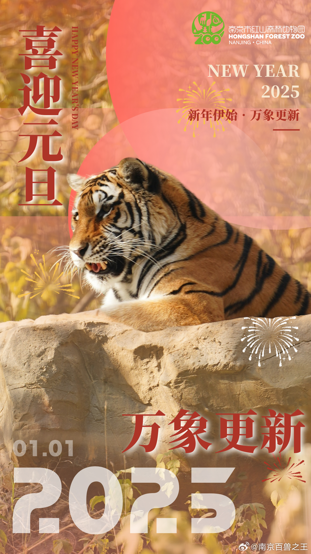 最新年伊始，完成某項(xiàng)任務(wù)或?qū)W習(xí)某種技能的詳細(xì)步驟指南