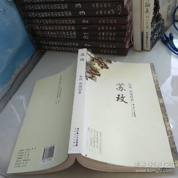 時代背景下的璀璨篇章，蘇最新章節(jié)速遞