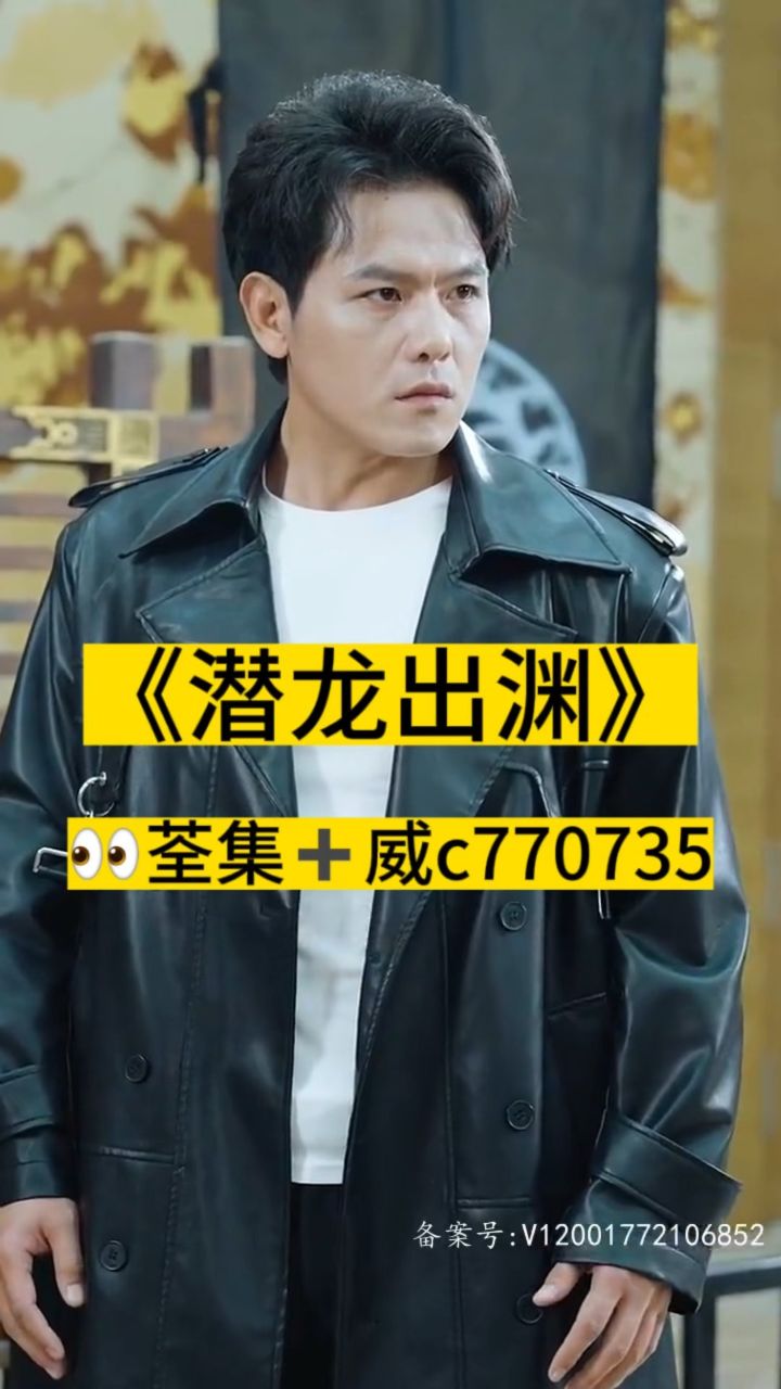 淘龍最新視頻，日常趣事與愛之陪伴