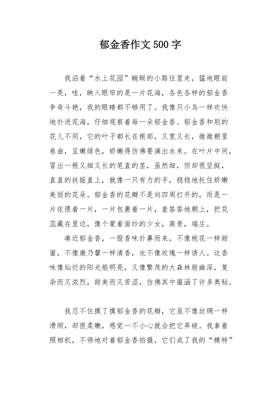 我的郁金香女友最新章節(jié)，情感與成長的交織旅程