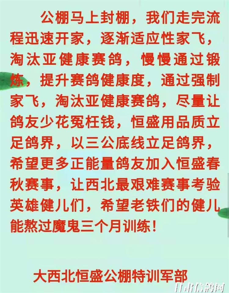 恒翔賽鴿公棚最新公告，展翅翱翔，共舞變化，自信筑夢(mèng)未來(lái)！