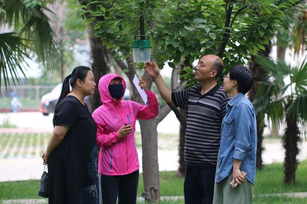 漯河黑龍?zhí)兑?guī)劃揭秘，最新藍(lán)圖與奇遇溫情的融合