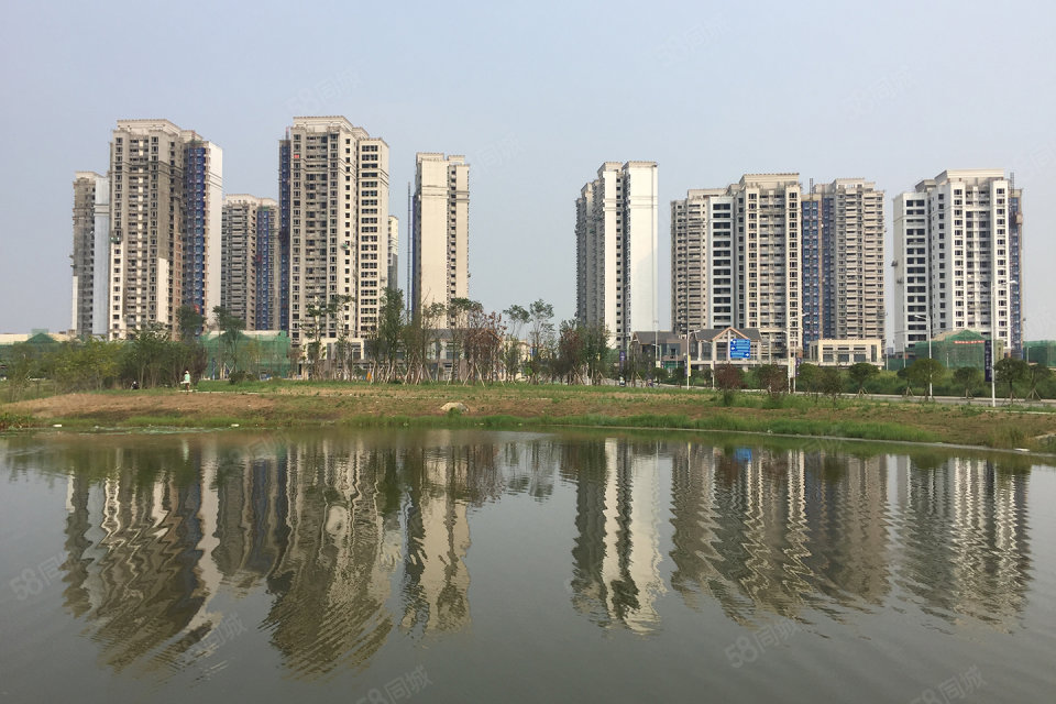 成都天府城邦最新動(dòng)態(tài)，城市變遷中的共同成長之路