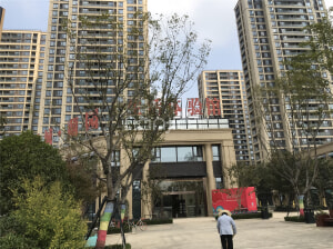 蕭縣綠城樓盤最新動(dòng)態(tài)，市場(chǎng)深度解析與個(gè)人觀點(diǎn)