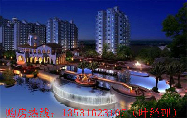 大亞灣羅建強(qiáng)最新消息，深度解析各方觀點(diǎn)與個(gè)人立場闡述
