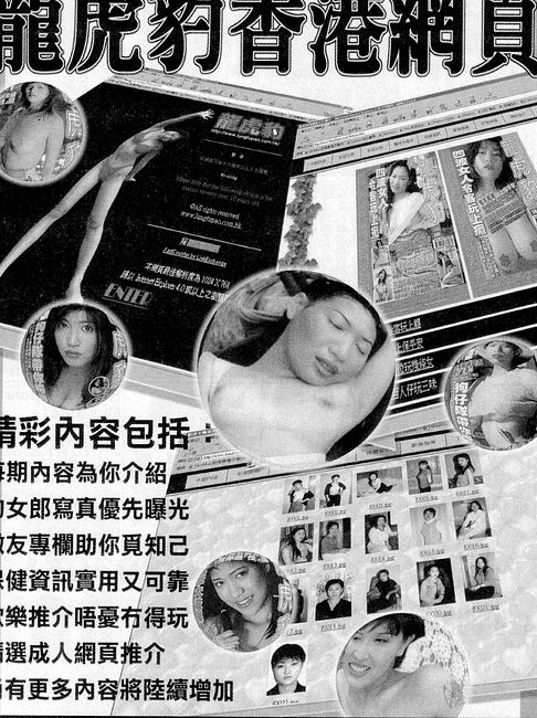 香港龍虎豹最新地址揭秘，探索自然美景，尋覓內(nèi)心寧?kù)o之旅